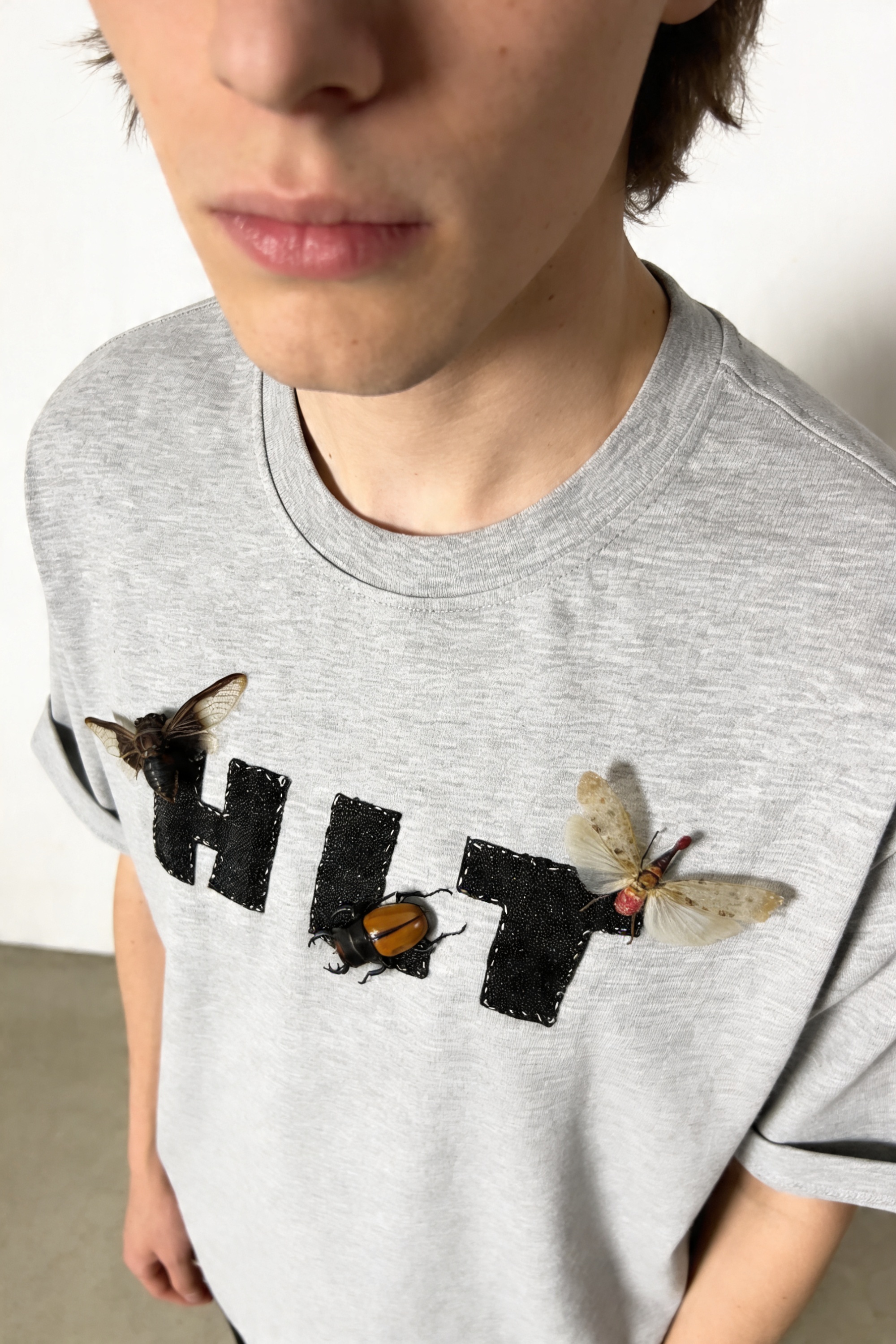 HLT444 H2: крупный план букв HLT с насекомыми
